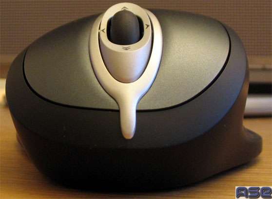 Mouse Front