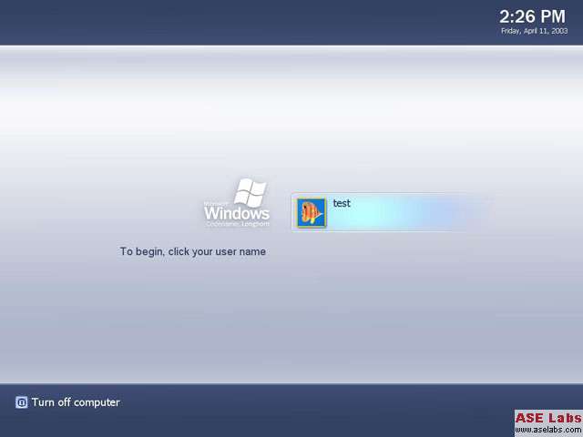 Windows Logon Screen